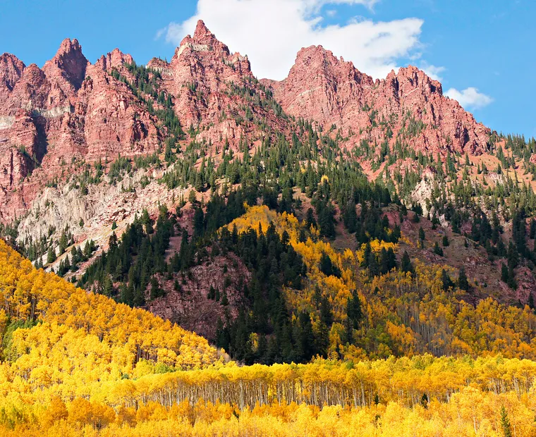aspen